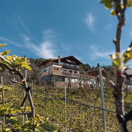 Malgorerhof Lavendel San Genesio Atesino Extérieur photo